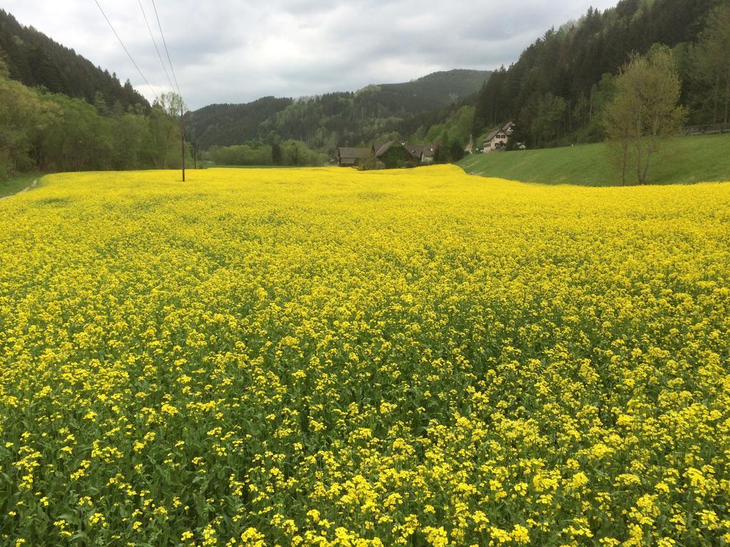 Seegasthof Breineder - Familien & Seminarhotel Monichwald Zewnętrze zdjęcie